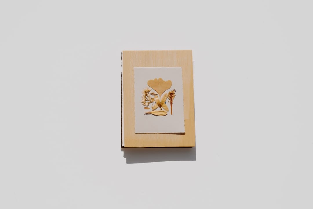盯着拾荒老人不放，是怜悯？还是想遮羞？